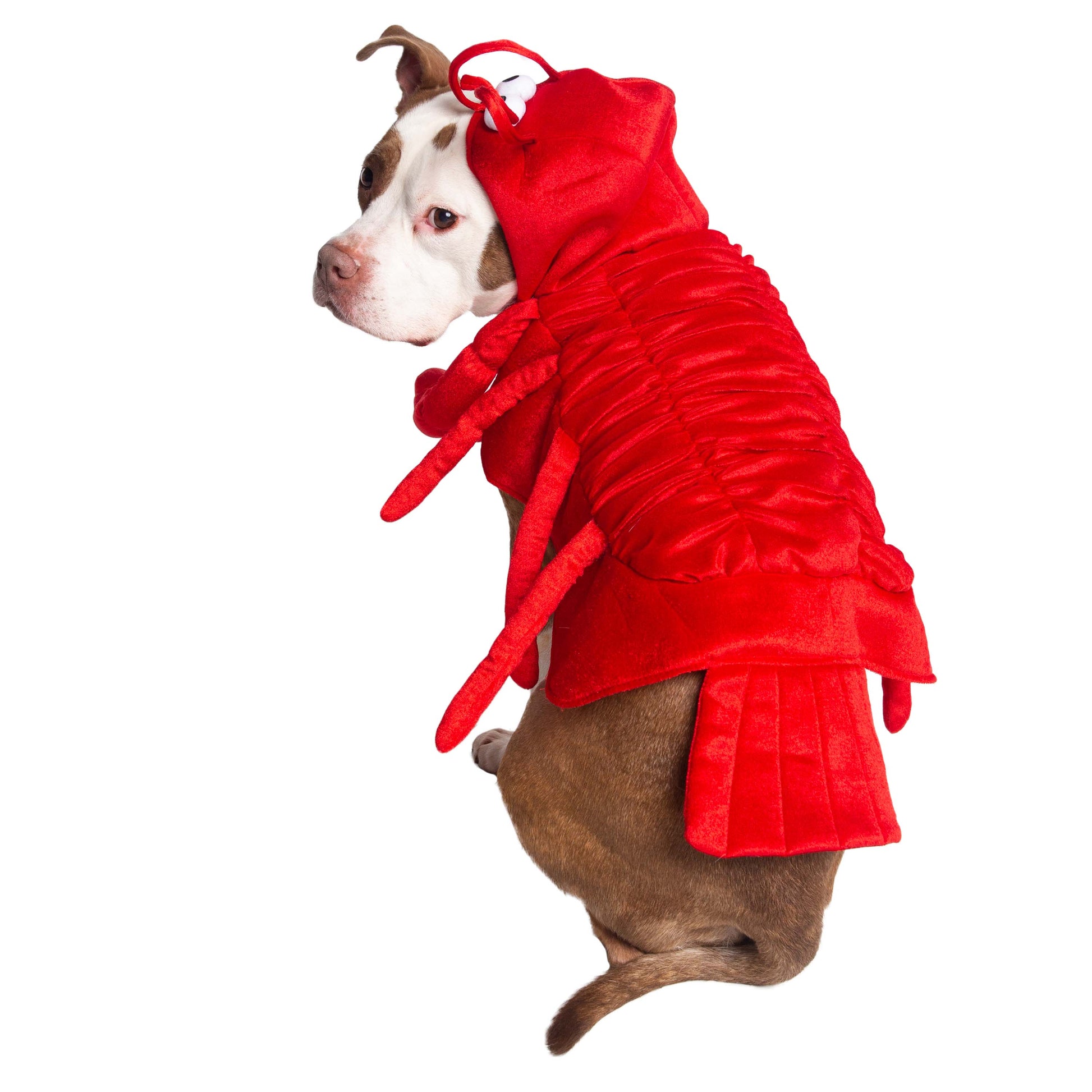 lobster dog costumes