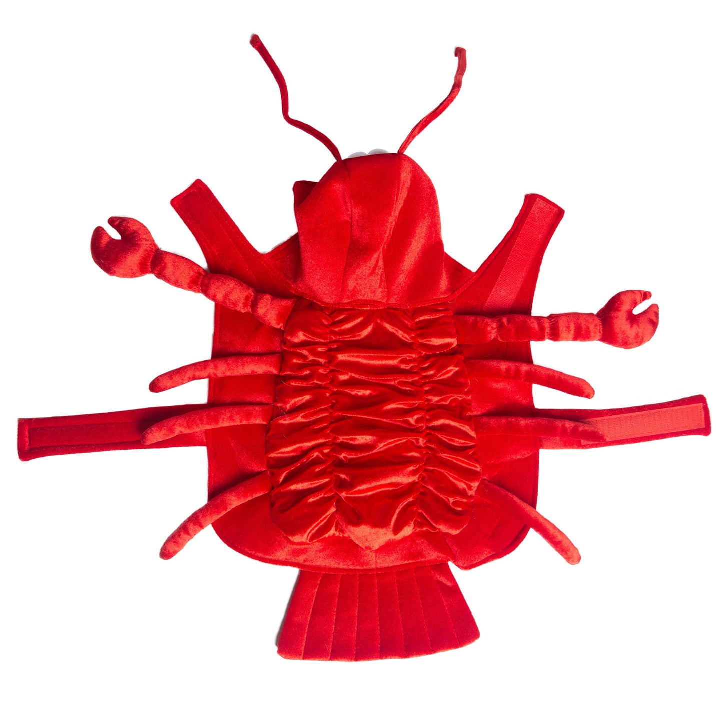 lobster dog costumes