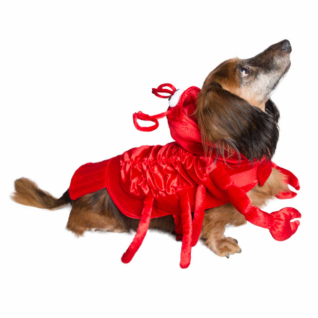 lobster dog costumes