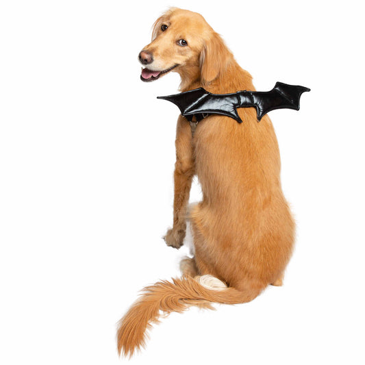 yellow Labrador retriever dog is wearing a black bat wings harness dog costume