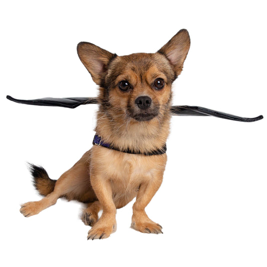 Bat Harness Attachment Costume for Dogs