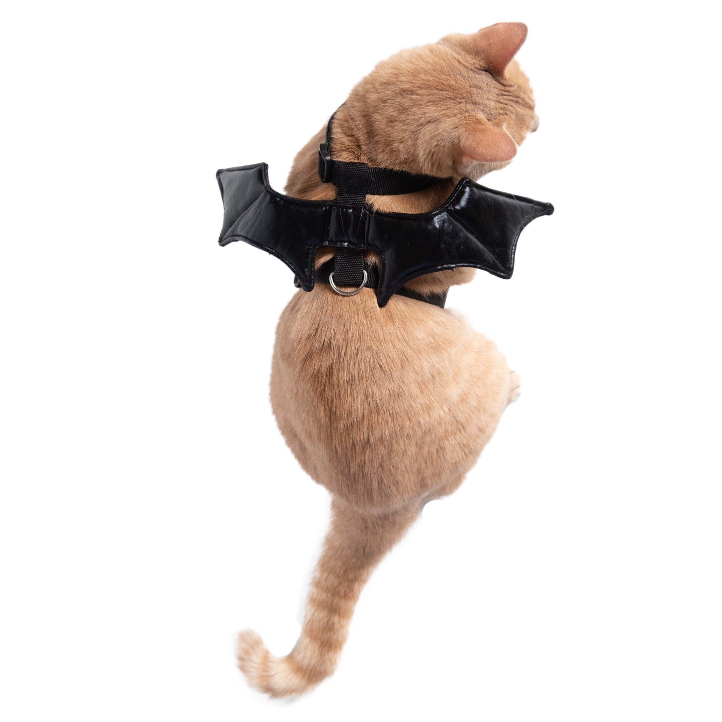 Bat Harness Costume for Cats