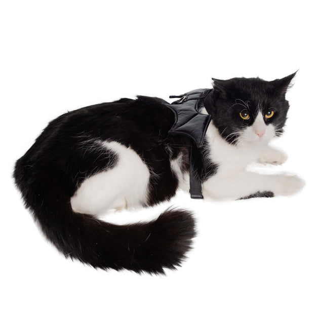 Black and on sale white cat costume