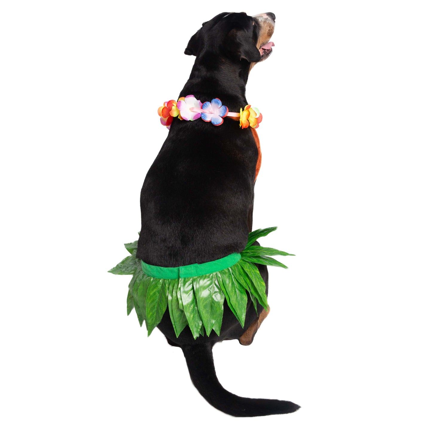 hula girl costume for dogs
