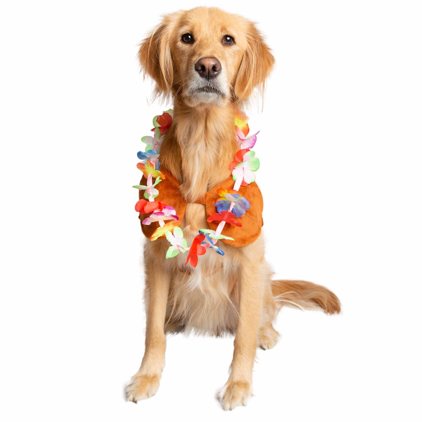 hula girl costume for dogs