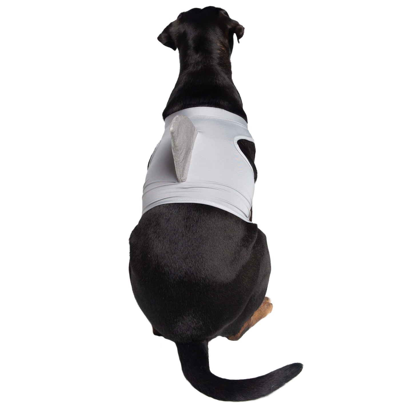 shark dog costume