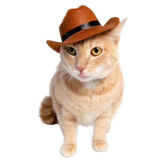 Cowboy Hat Cat Costume – Pet Krewe