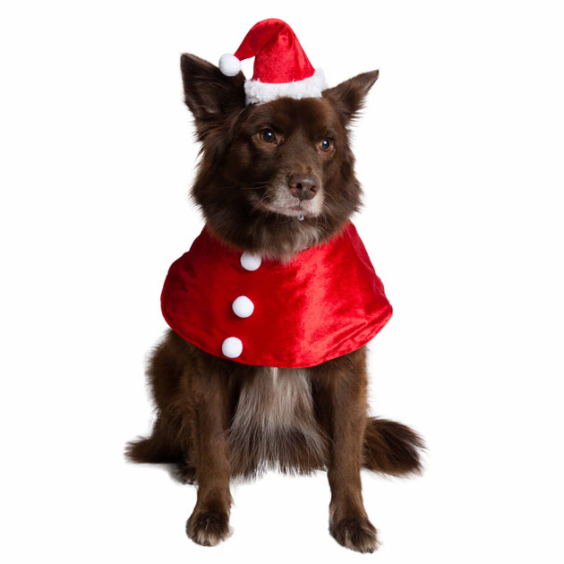 Halloween/Christmas Funny Pet Dog/Cat Santa Claus Carry Christmas