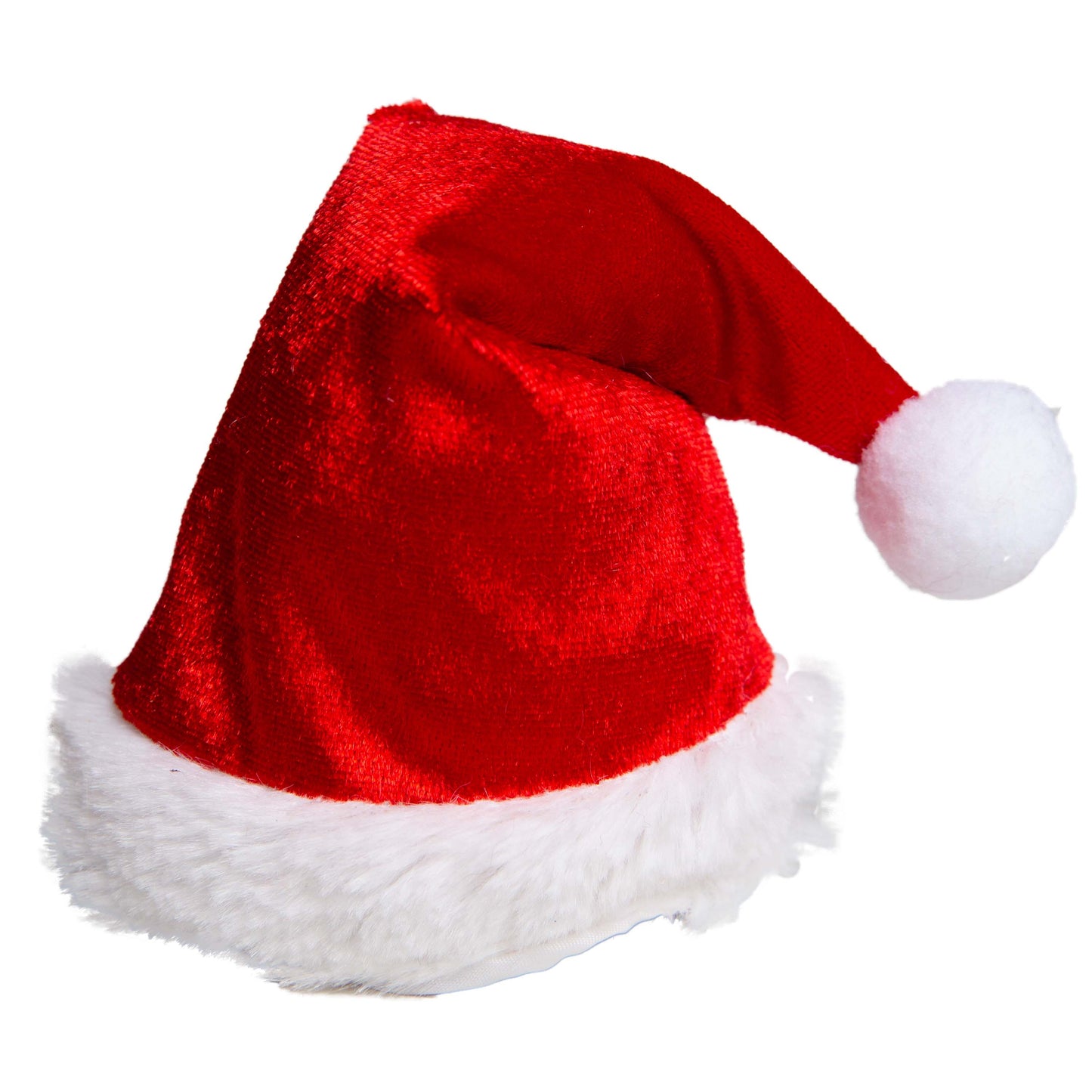 Santa Dog Costume