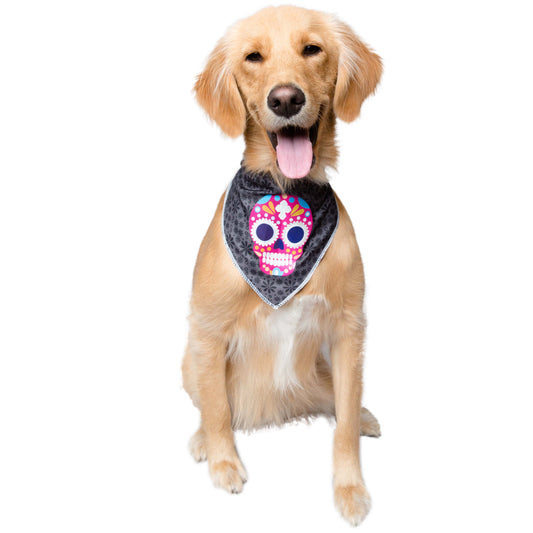glow in the dark skull dog bandana