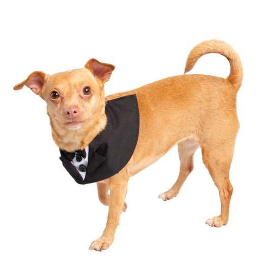 tuxedo for dogs