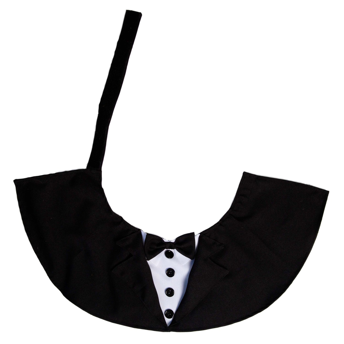 tuxedo for cats
