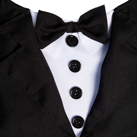 tuxedo for cats