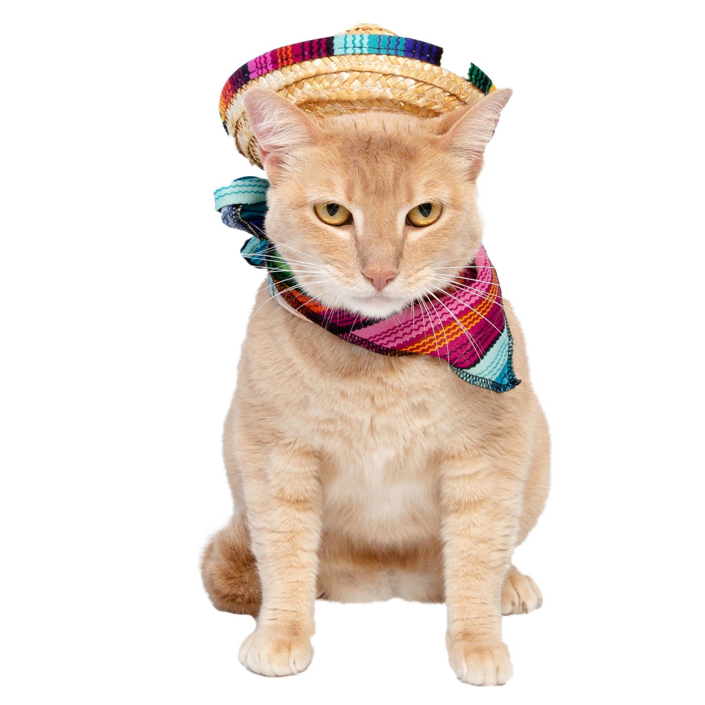 pet sombrero hats