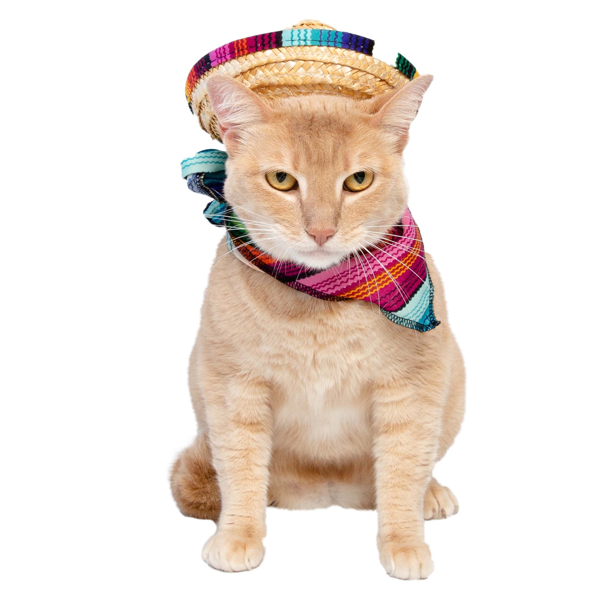 pet sombrero hats