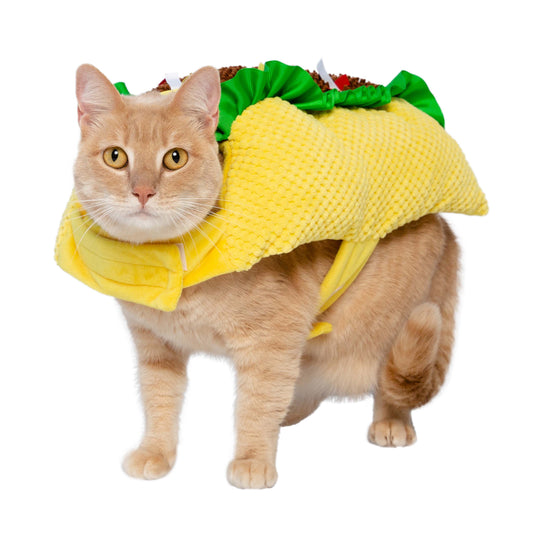 cat taco costume