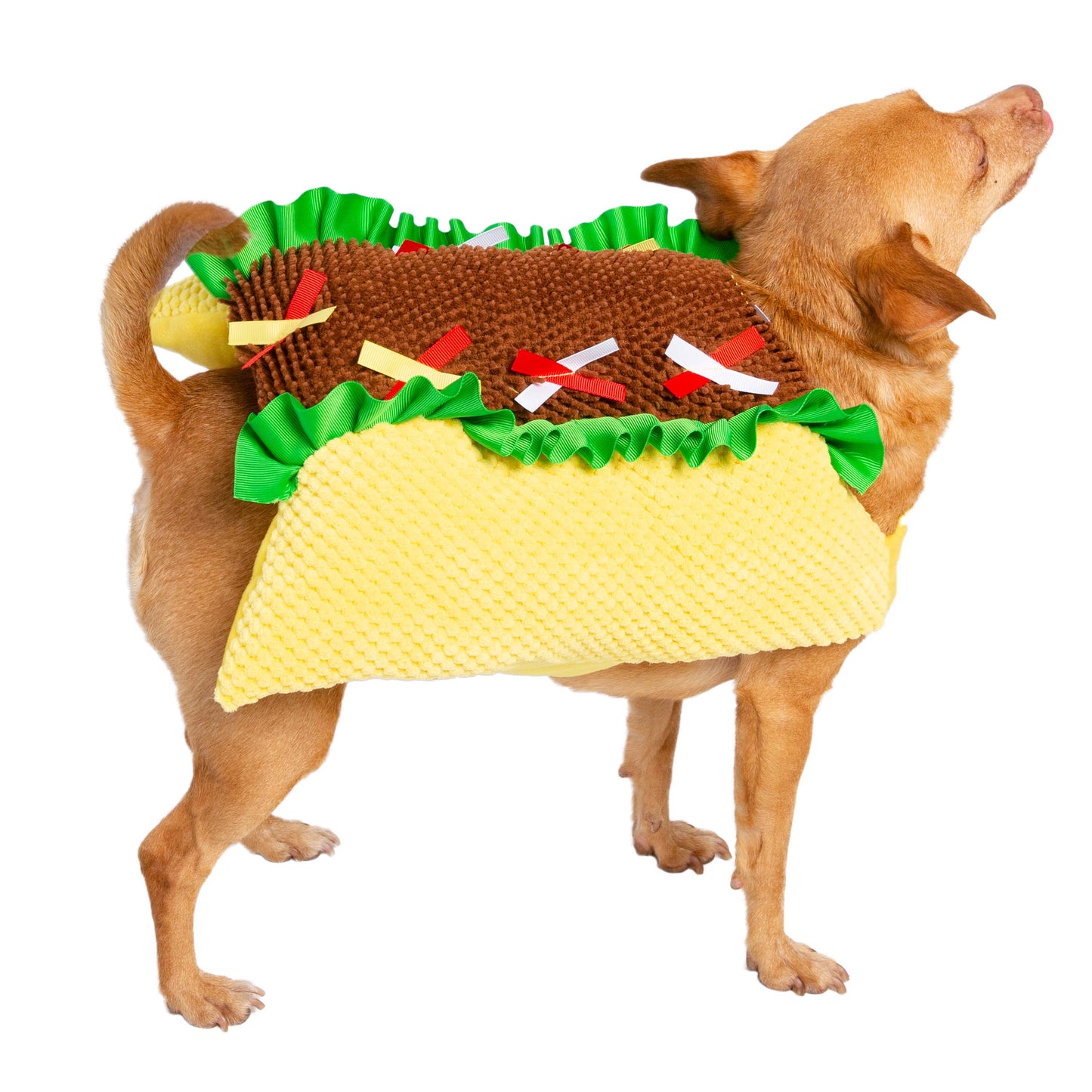 taco dog costume