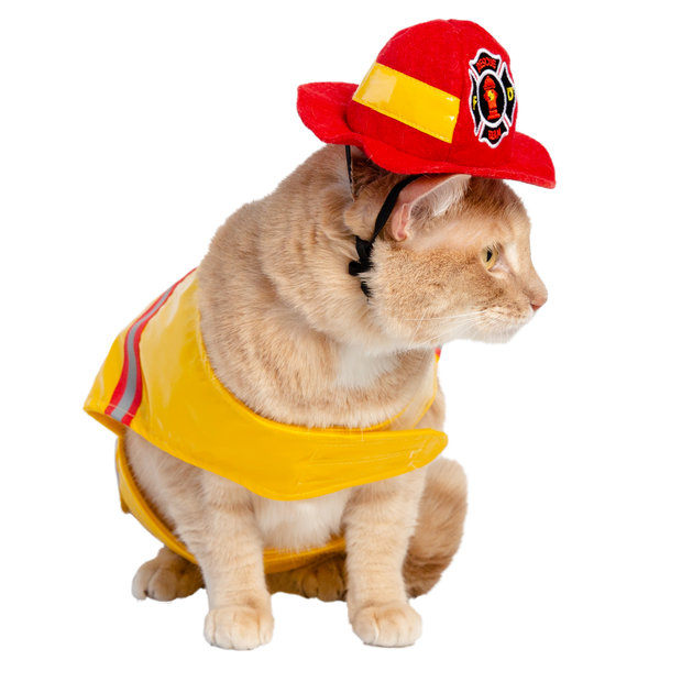 cat firefighter costume