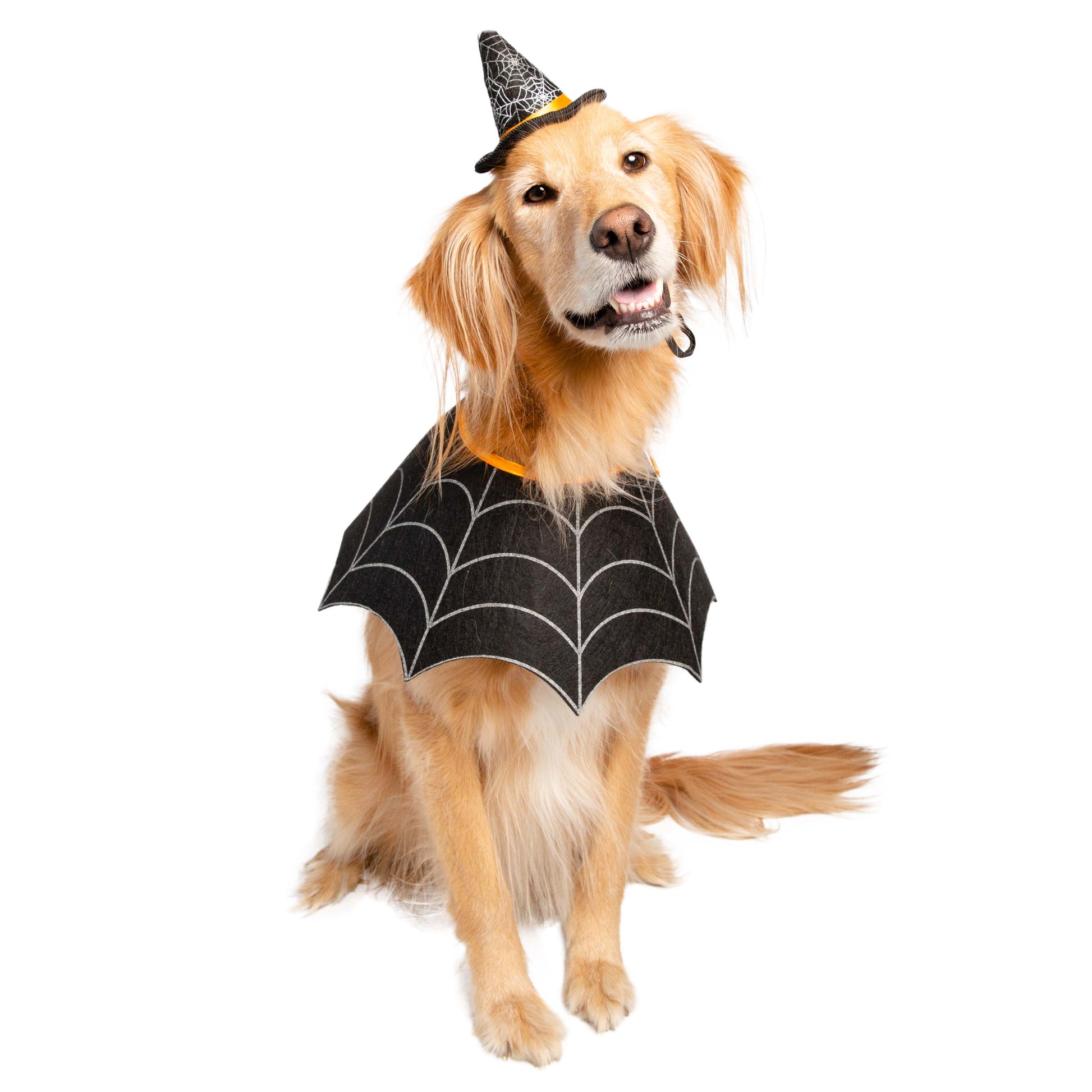 witch costume for dogs