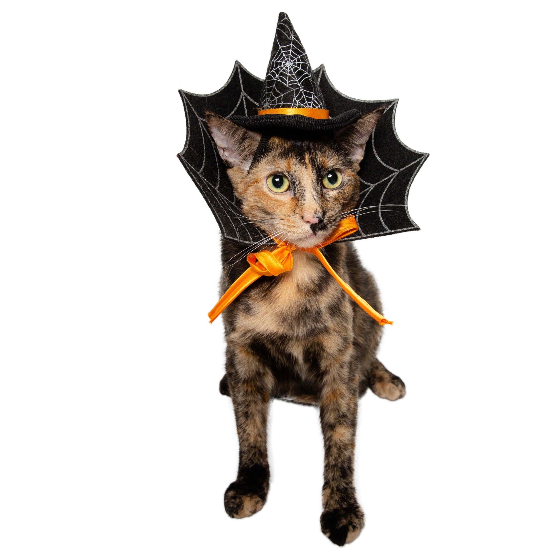 cat witch costume