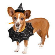 witch costume for dogs