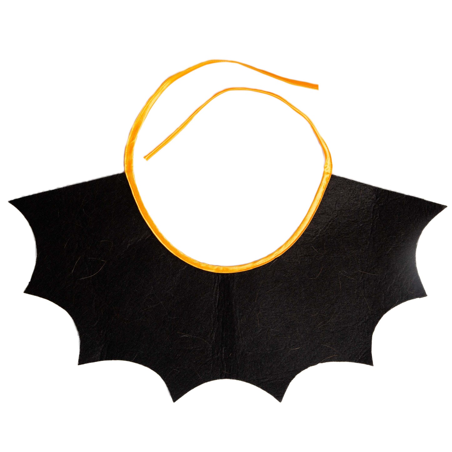 witch costume for dogs