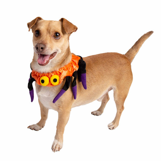 Spider Collar Dog Costume
