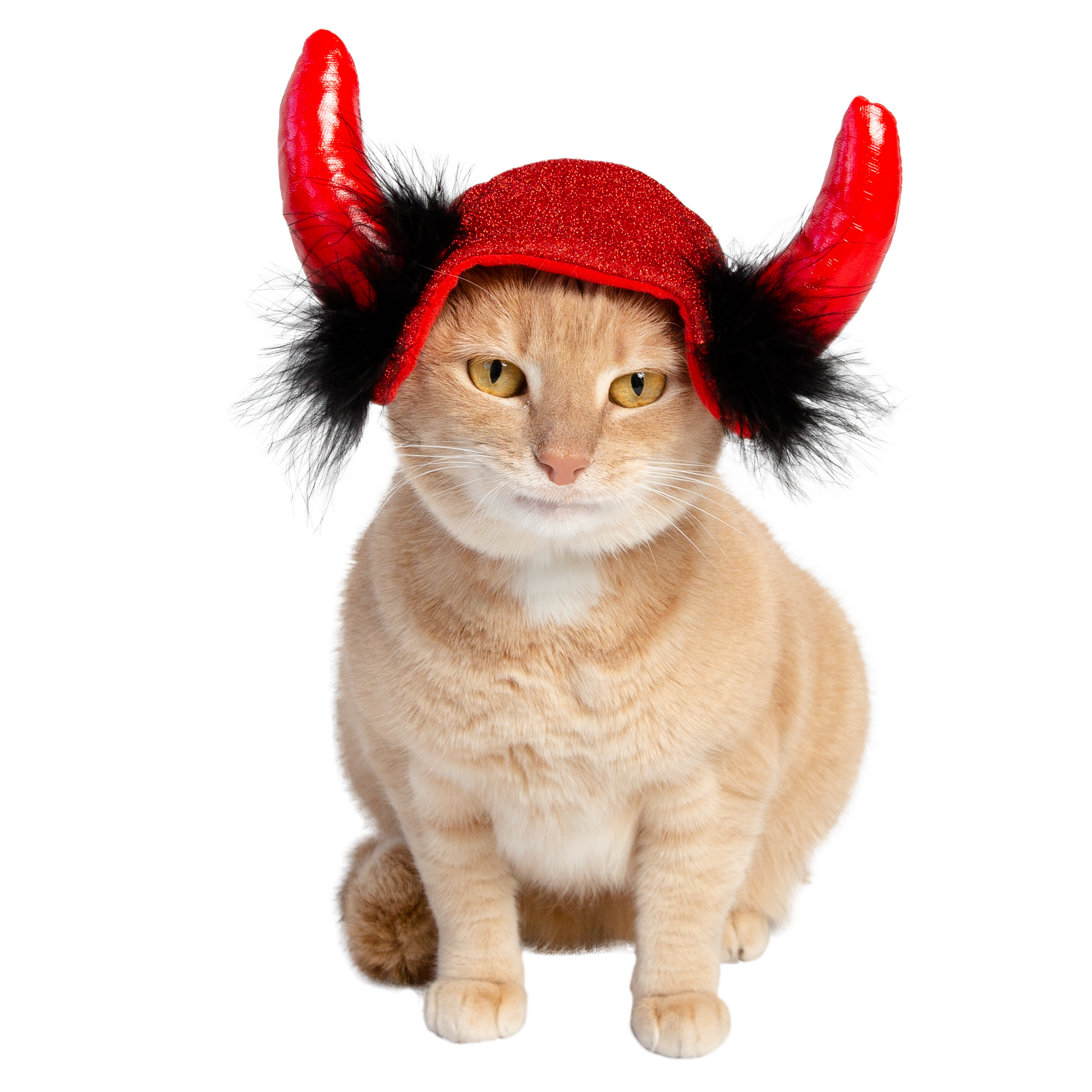 devil cat costume