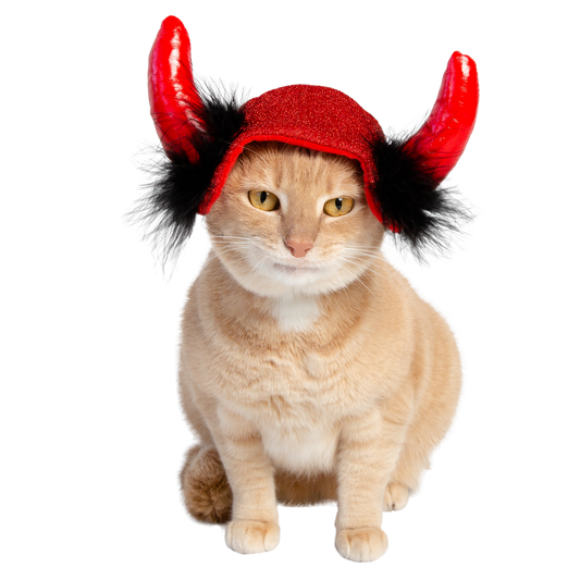 devil cat costume
