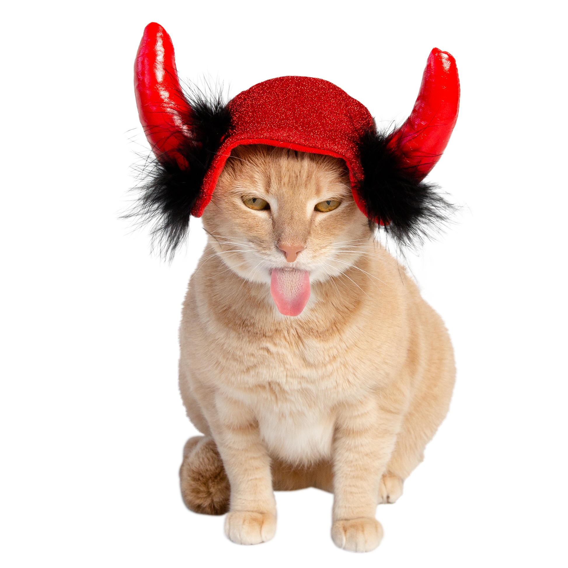 devil cat costume