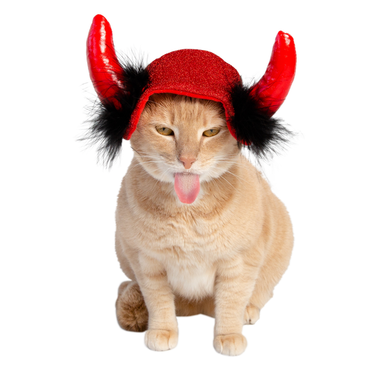 devil cat costume