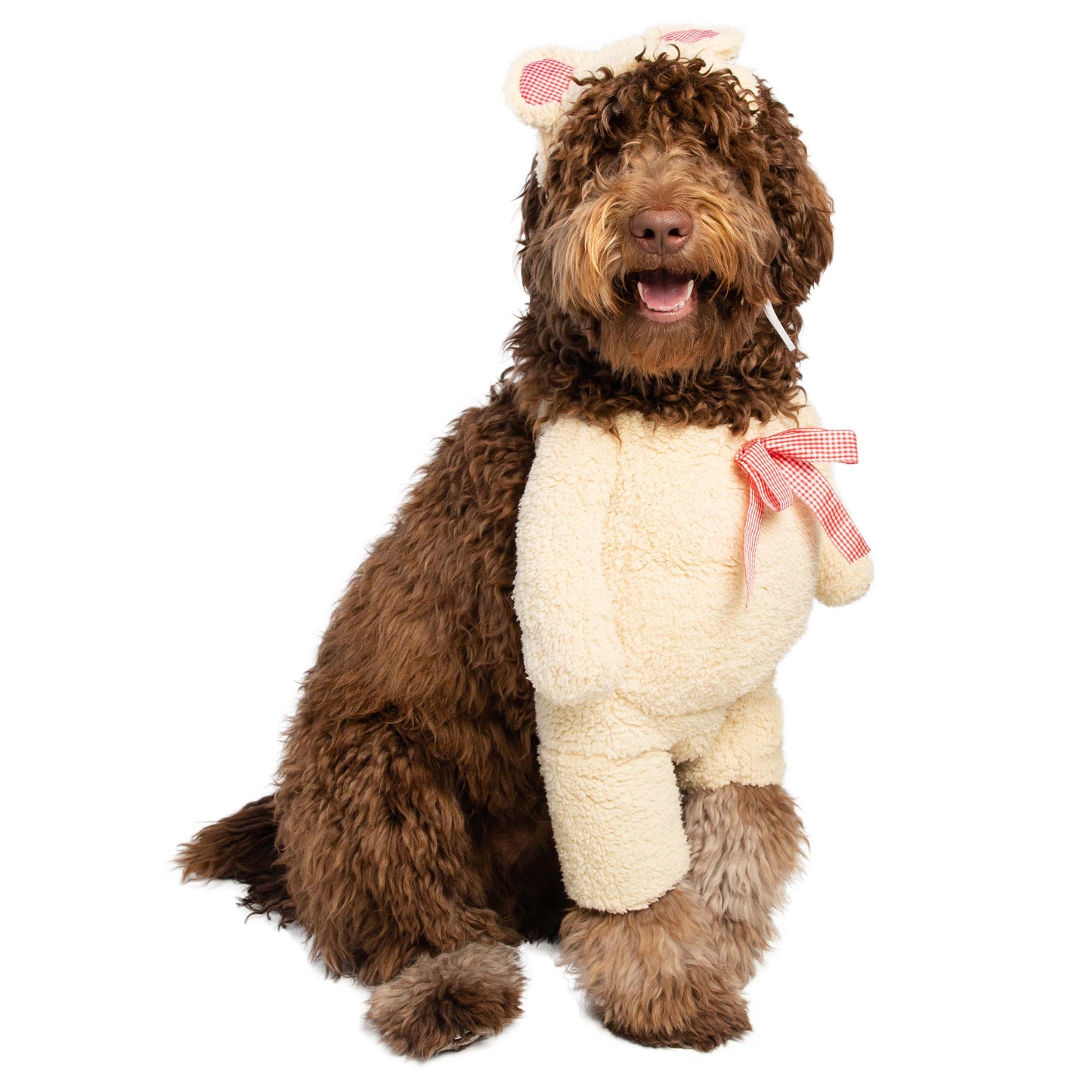 teddy bear dog costume