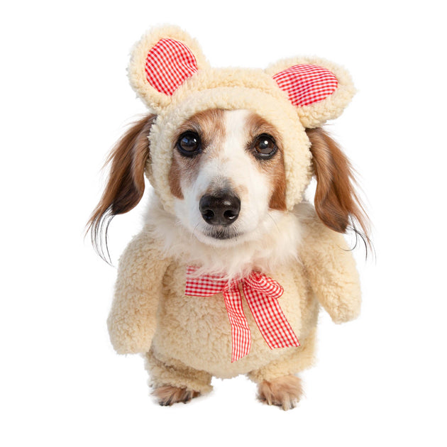 Small dog teddy bear costume cheap