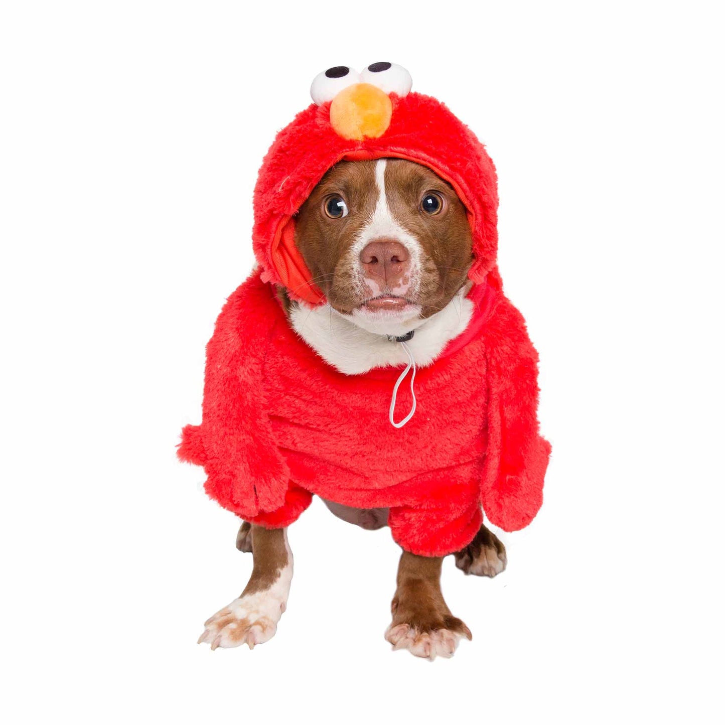 elmo dog costume