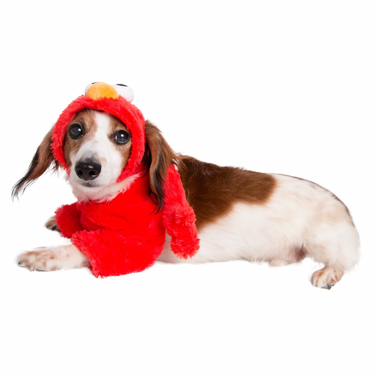 elmo dog costume