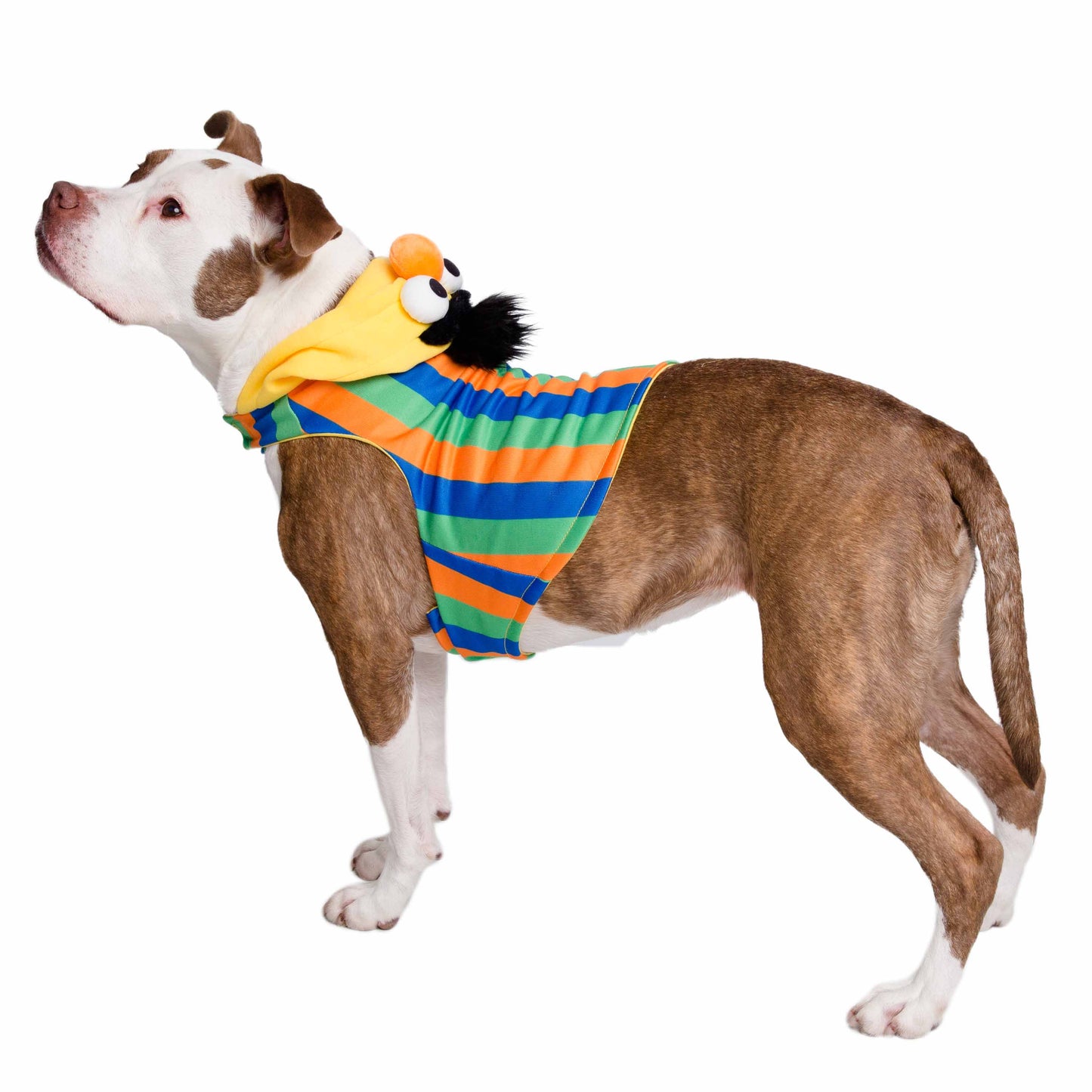 Sesame Street Bert Dog Hoodie
