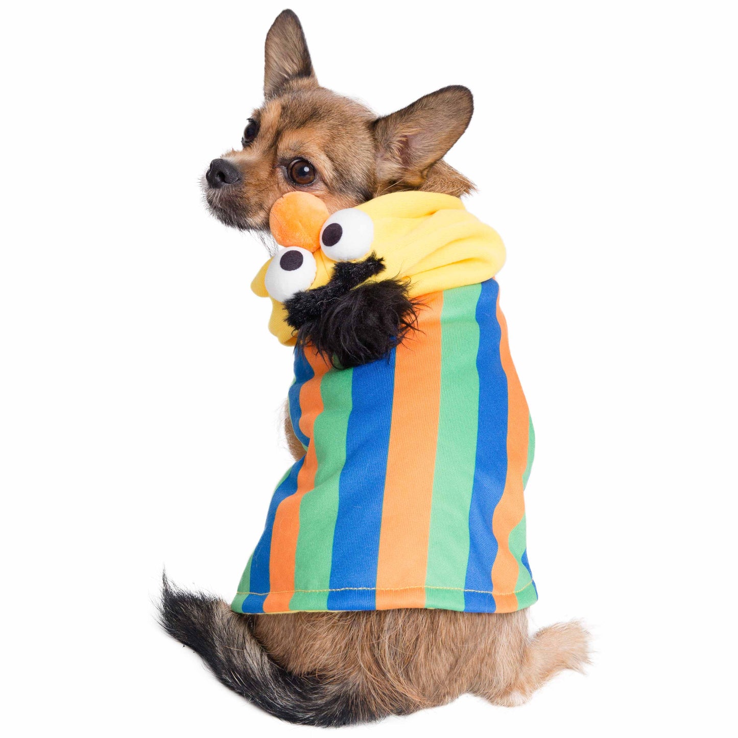Sesame Street Bert Dog Hoodie