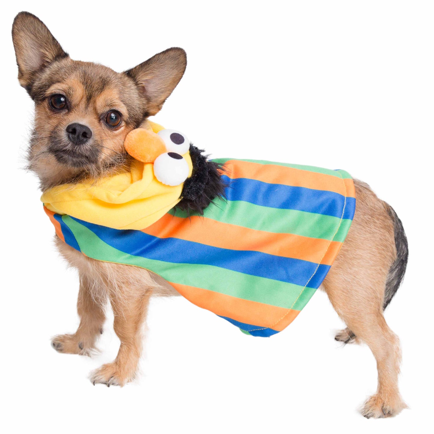 Sesame Street Bert Dog Hoodie