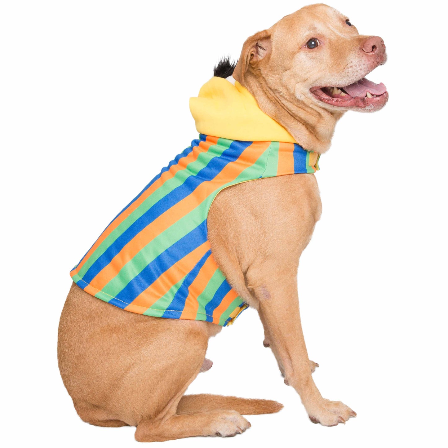 Sesame Street Bert Dog Hoodie