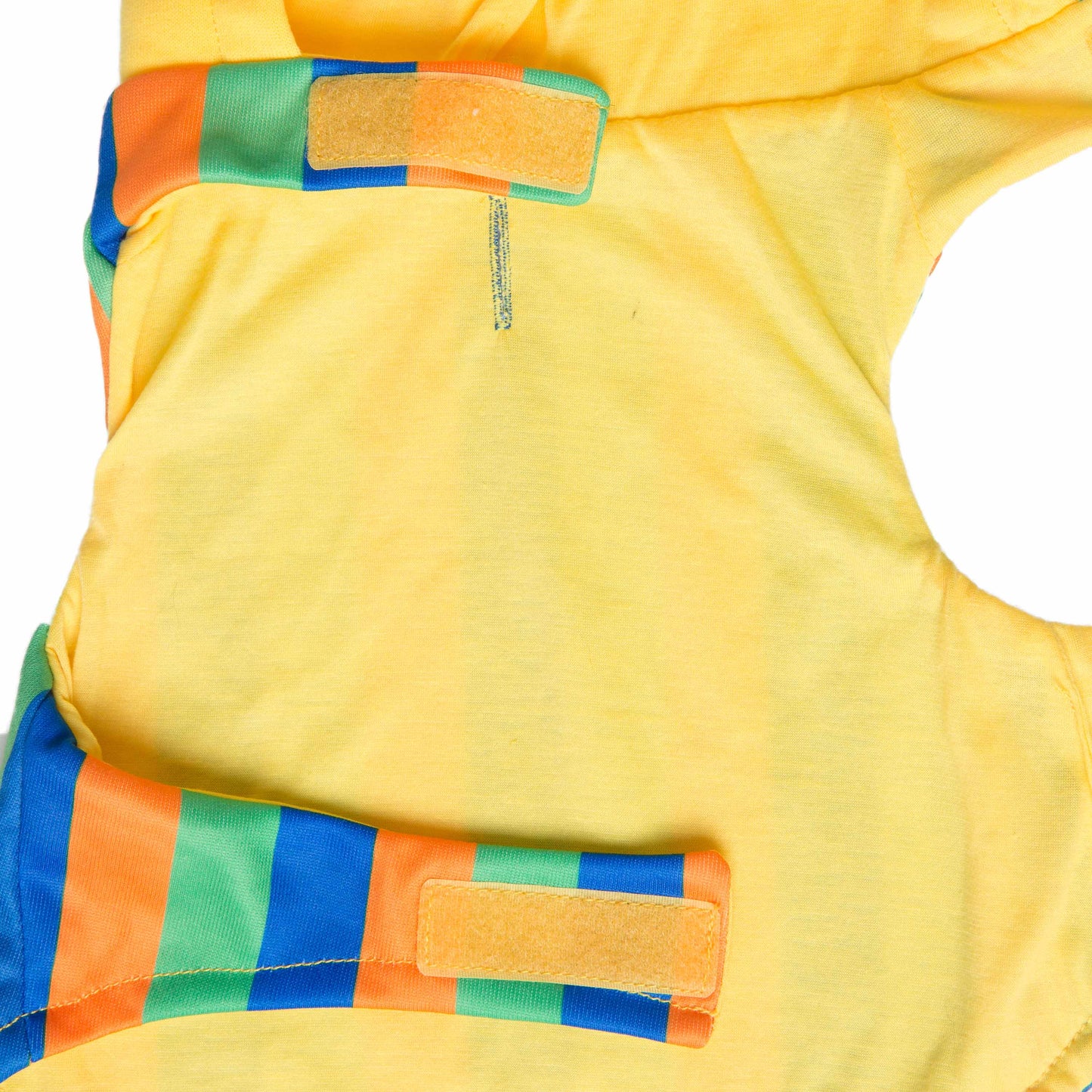 Sesame Street Bert Dog Hoodie