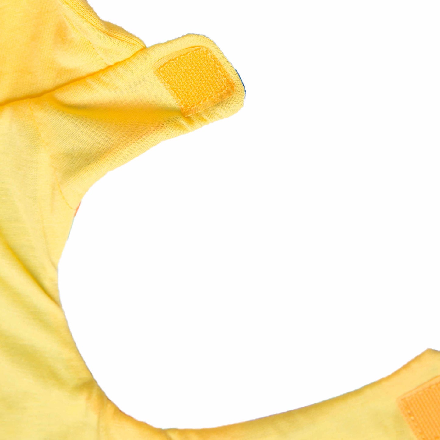 Sesame Street Bert Dog Hoodie