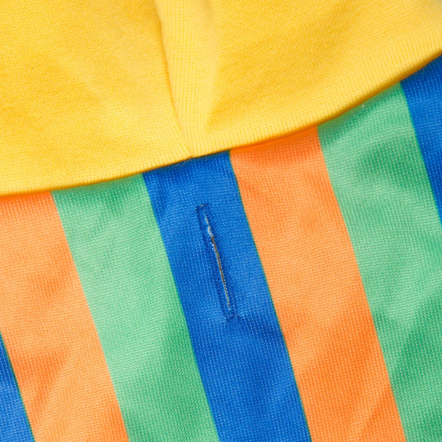 Sesame Street Bert Dog Hoodie