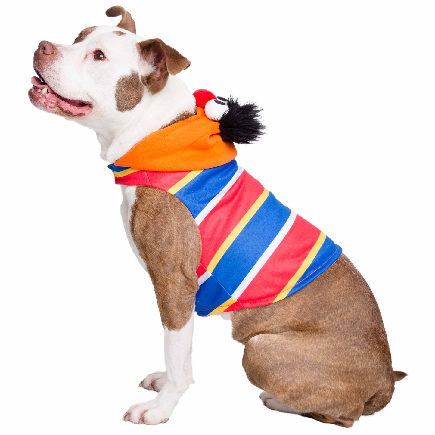 Sesame Street Ernie Dog Hoodie