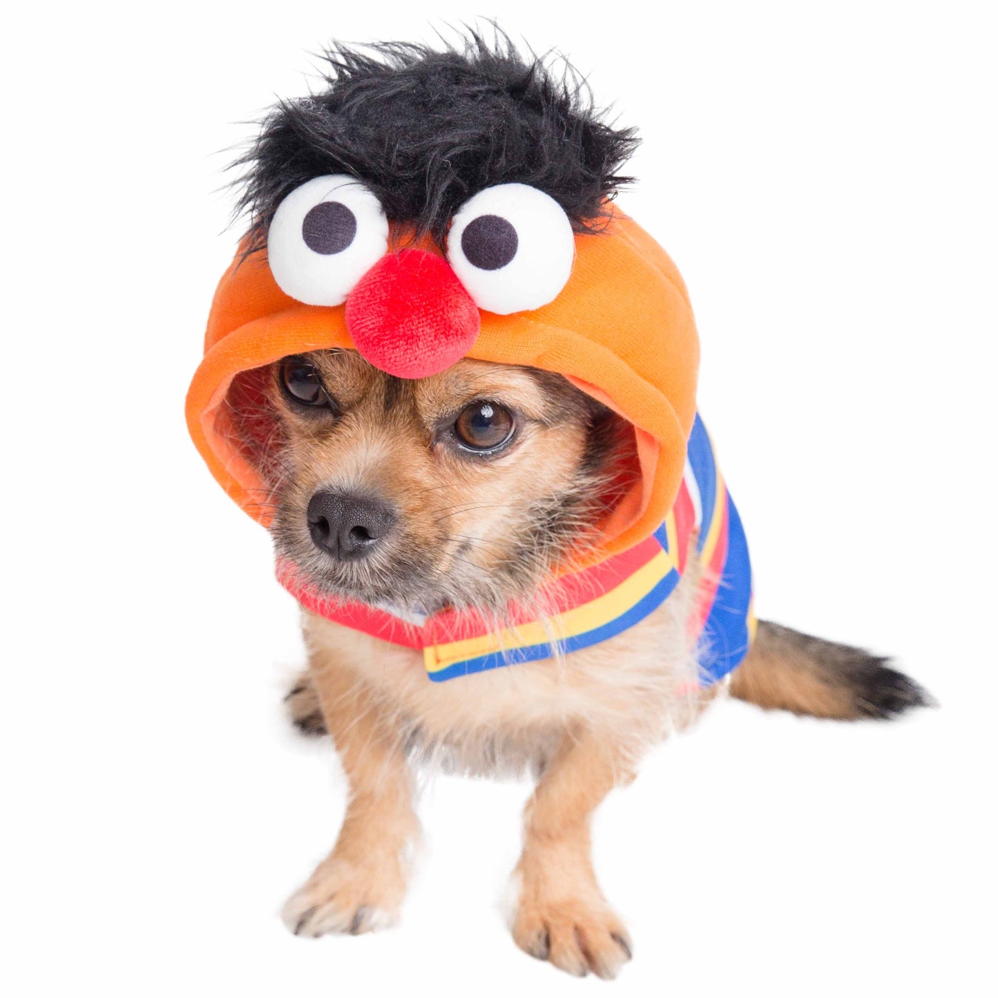 Sesame Street Ernie Dog Hoodie