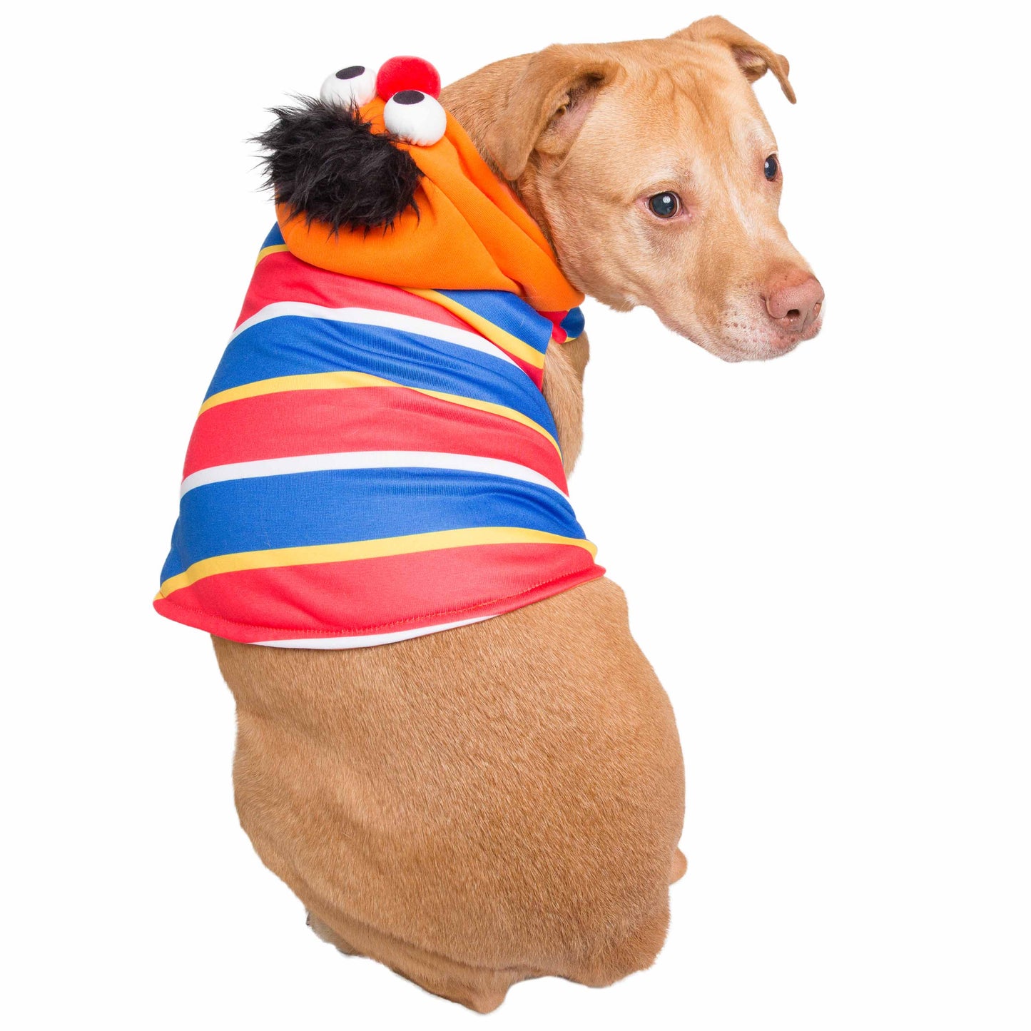 Sesame Street Ernie Dog Hoodie