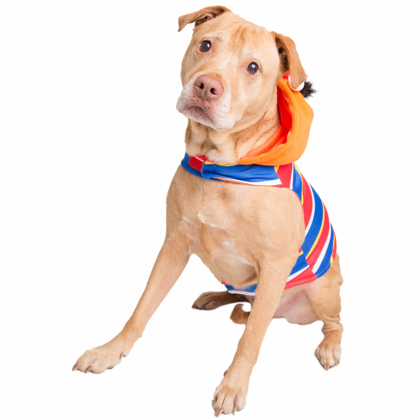 Sesame Street Ernie Dog Hoodie