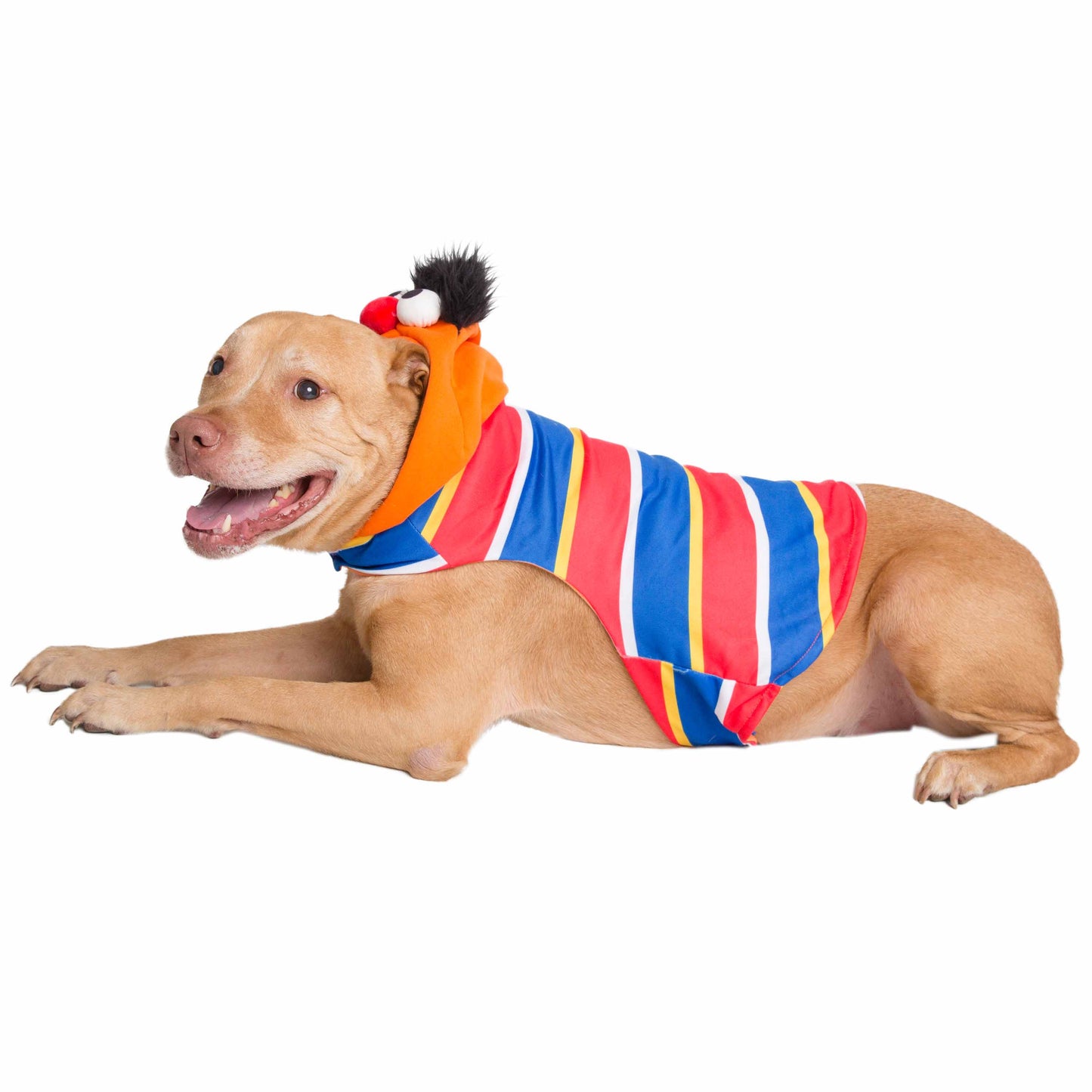 Sesame Street Ernie Dog Hoodie