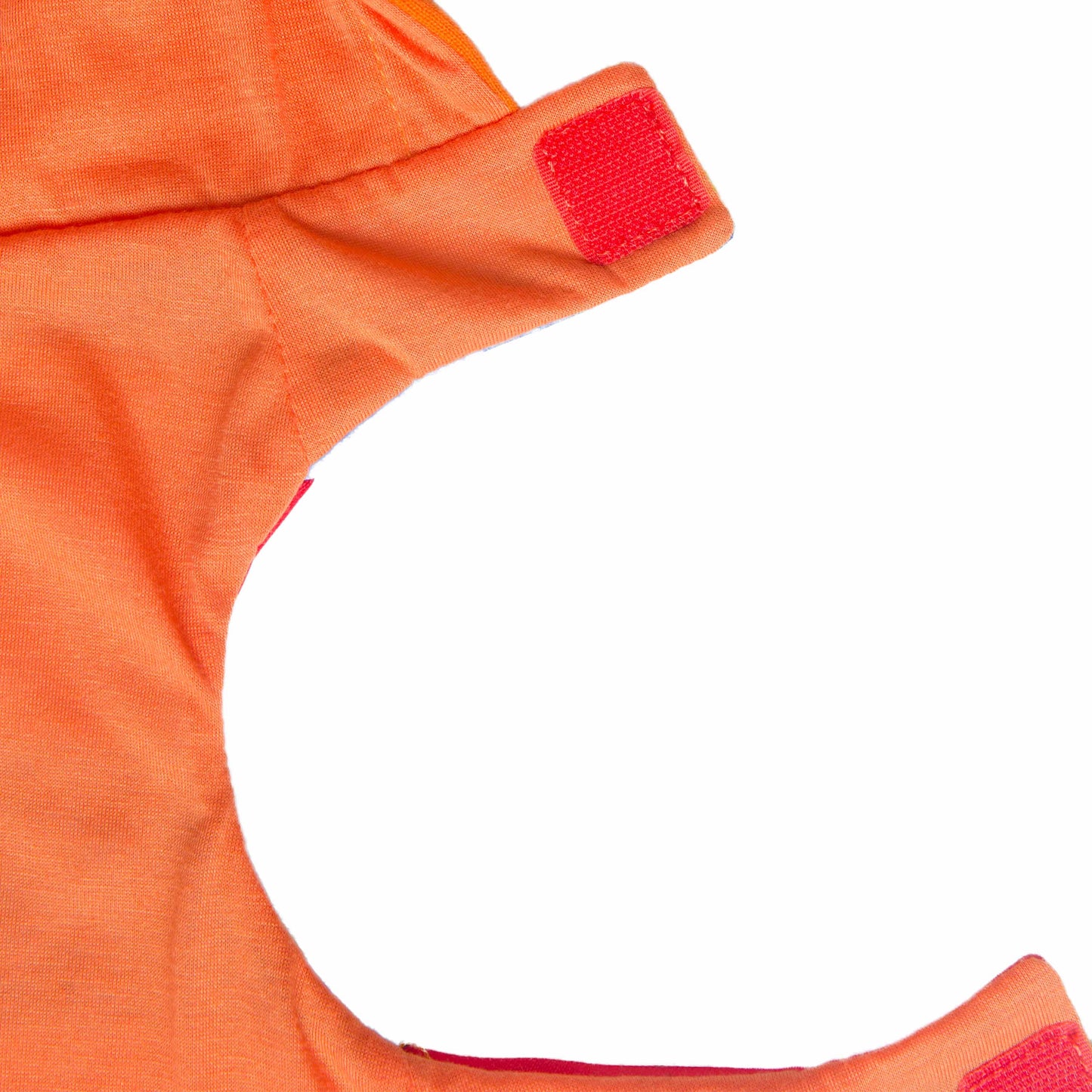 Sesame Street Ernie Dog Hoodie