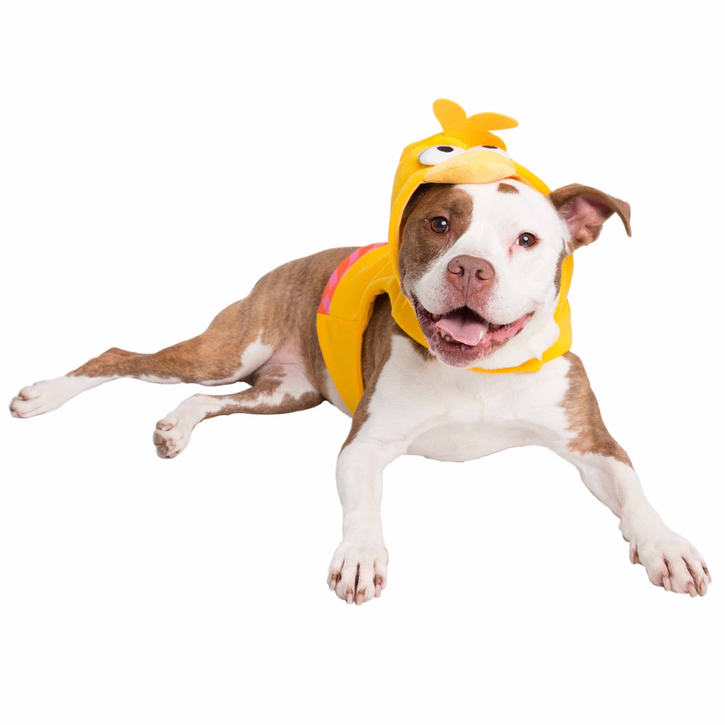 Sesame Street Big Bird Dog Hoodie