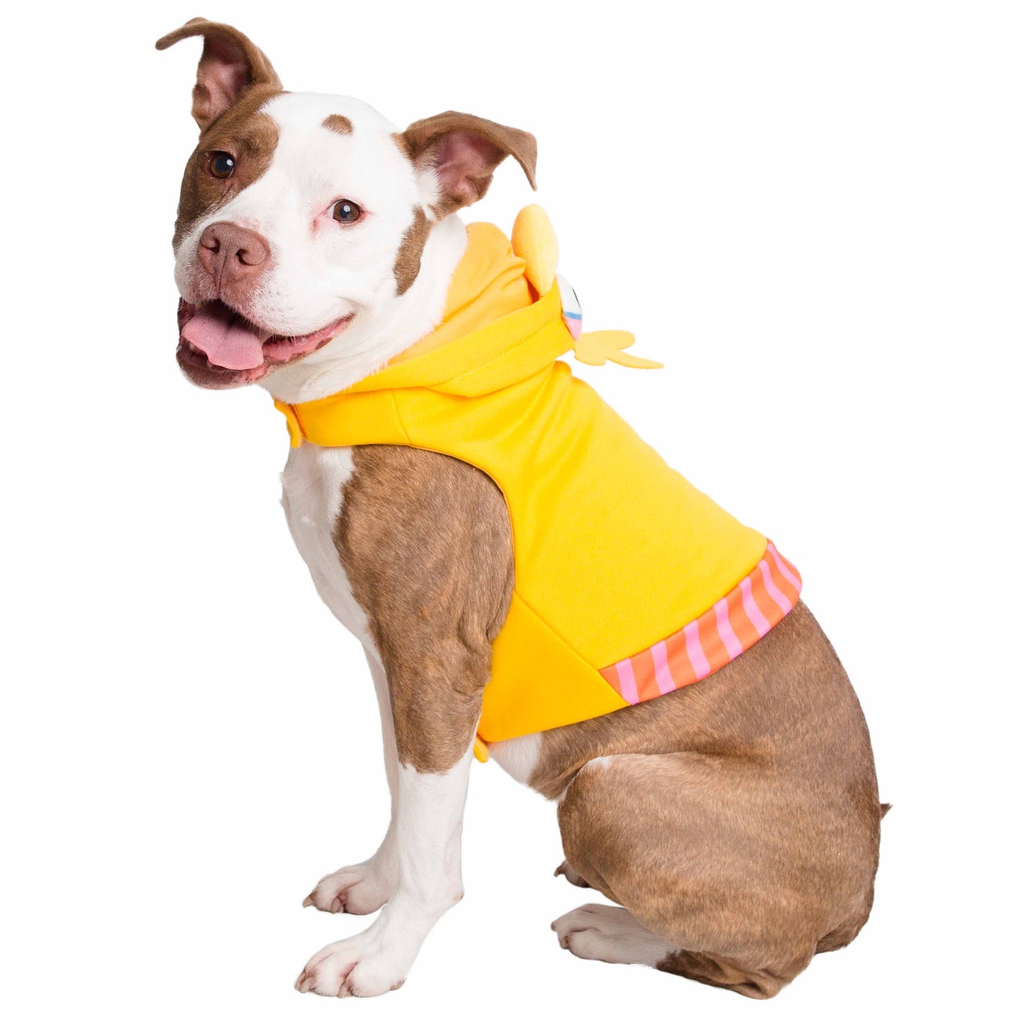 Sesame Street Big Bird Dog Hoodie